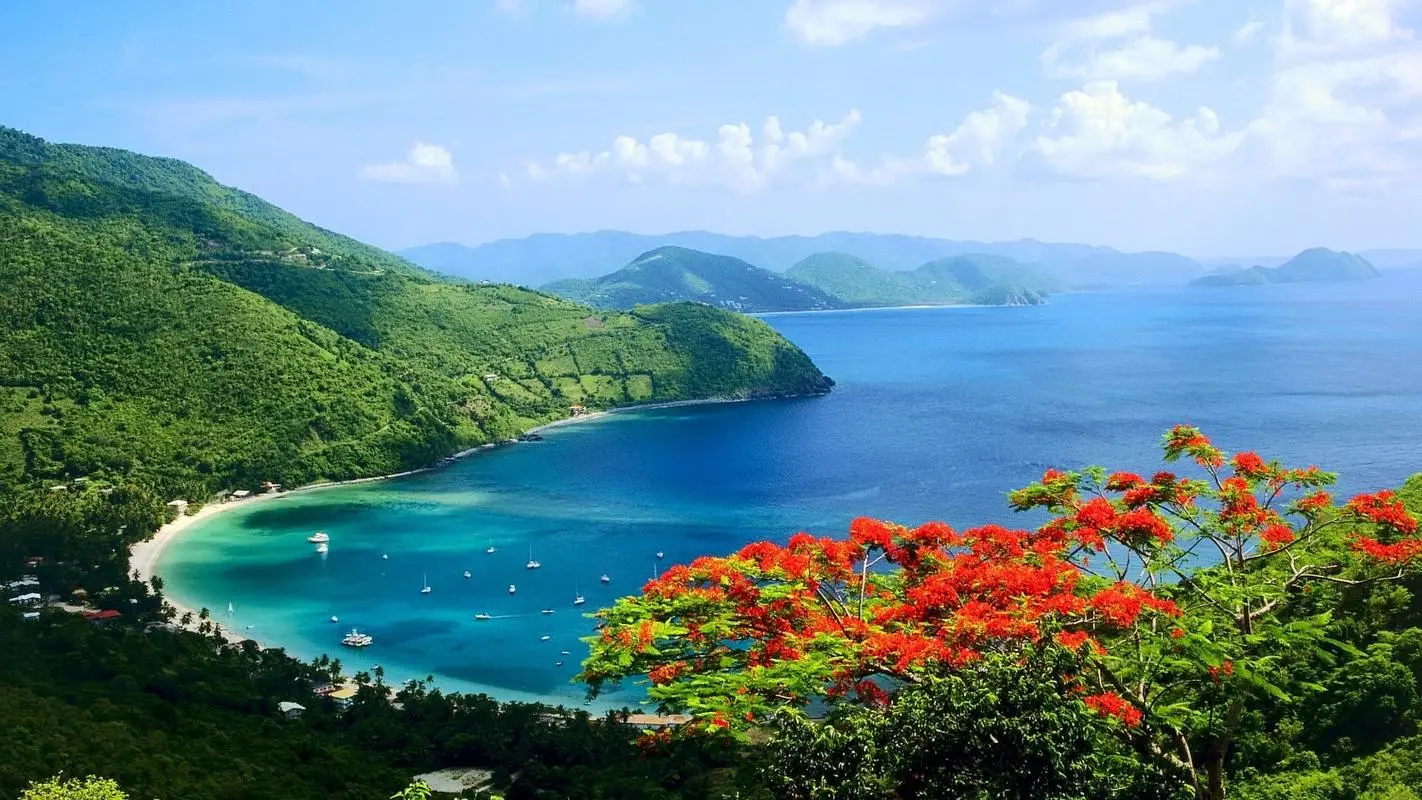高端自动化高效